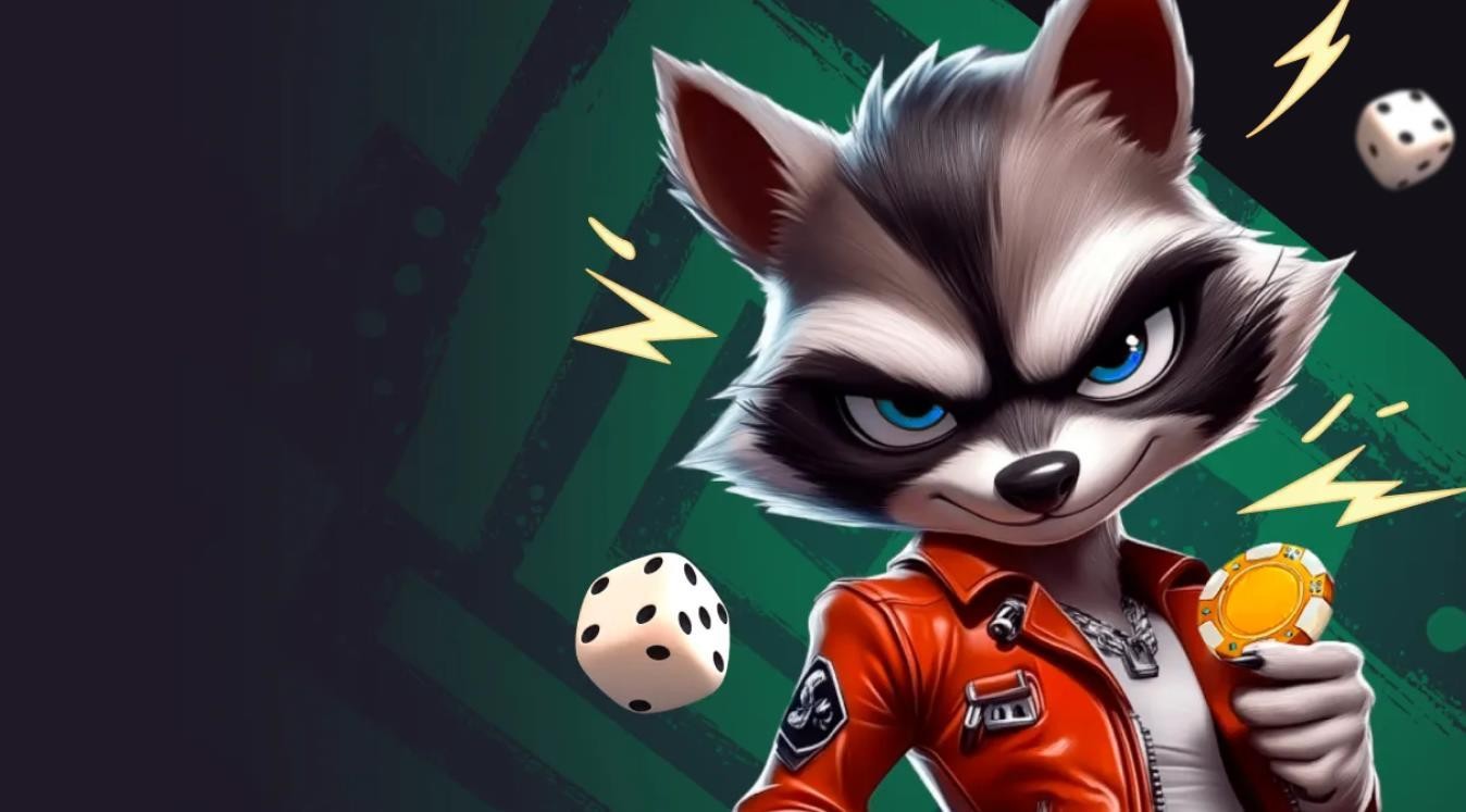 RTP and odds guide Casino Rocky Spin